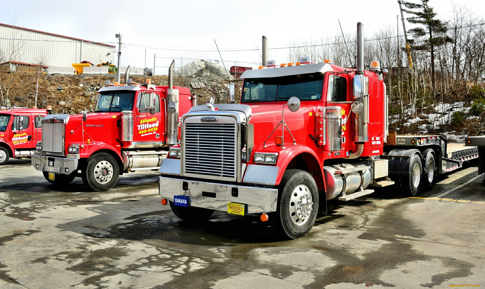 freightliner, , daimler, , , , llc, america, north, trucks
